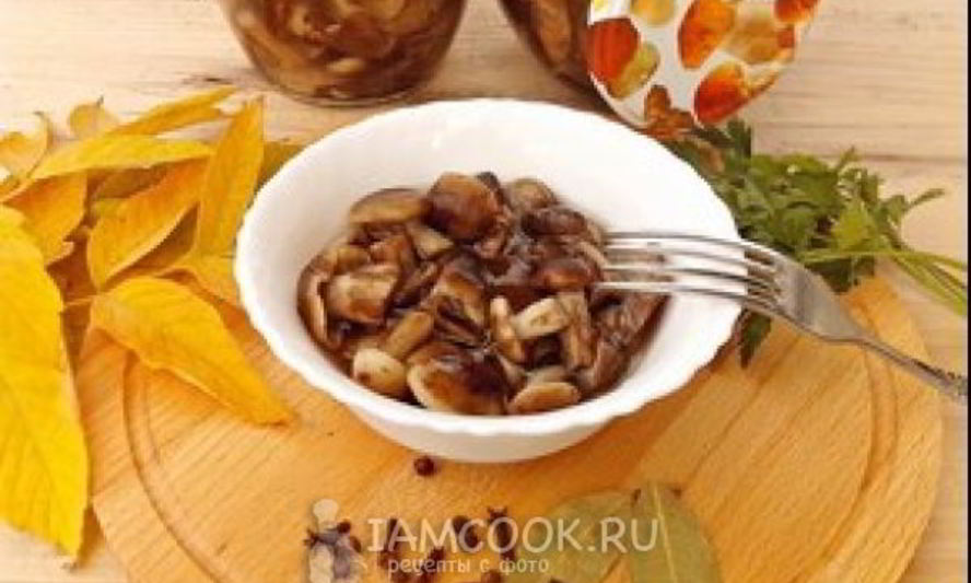 Рецепт маринованных опят на зиму