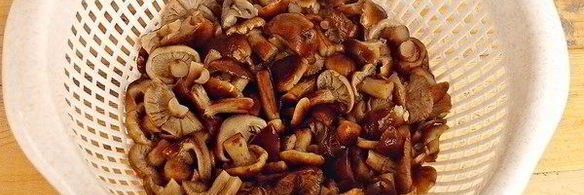 маринованные опята на зиму