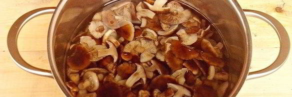 маринованные опята на зиму