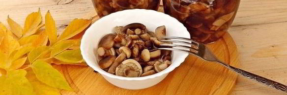 маринованные опята на зиму