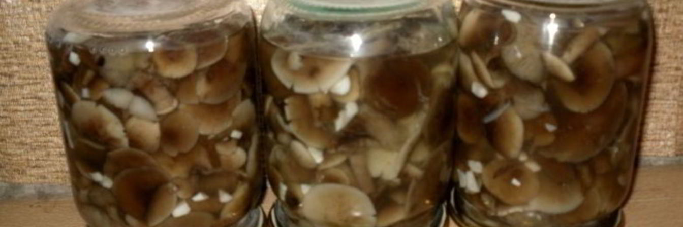 Маринованные опята с чесноком