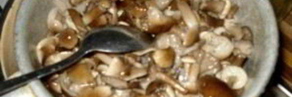 маринованные опята с чесноком