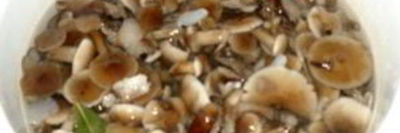 маринованные опята с чесноком