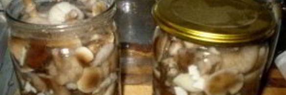 маринованные опята с чесноком