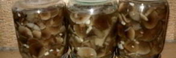 маринованные опята с чесноком