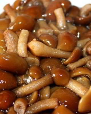 Маринованные опята в мультиварке