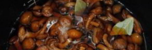 маринованные опята в мультиварке