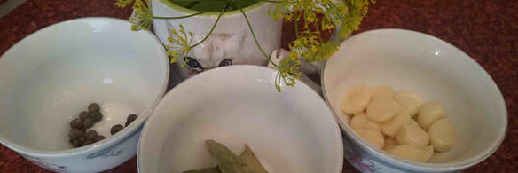 маринованные подосиновики