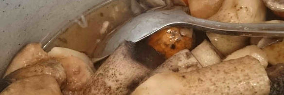 маринованные подосиновики