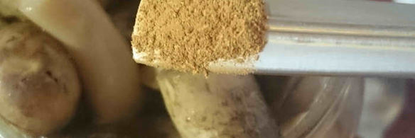 маринованные подосиновики