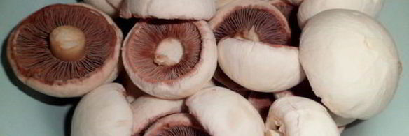 маринованные шампиньоны в соевом соусе