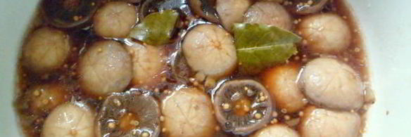 маринованные шампиньоны в соевом соусе
