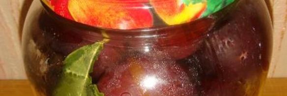 маринованные сливы без стерилизации на зиму