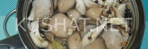 маринованные вешенки