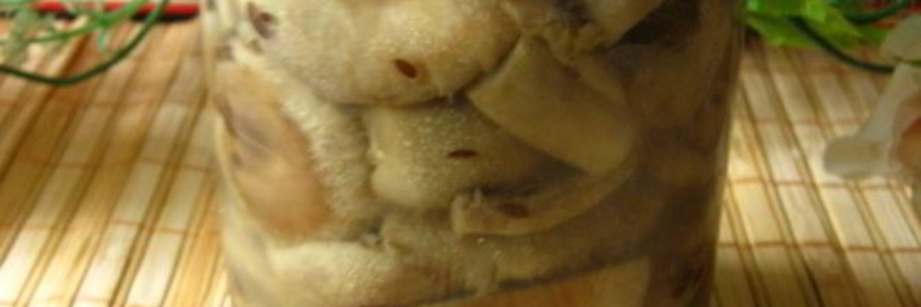 Маринованные волнушки