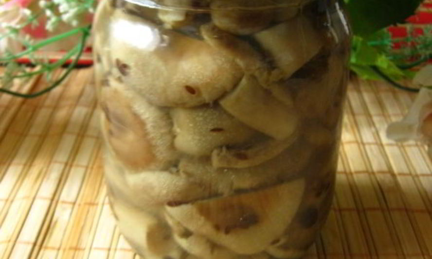 Рецепт маринованных волнушек