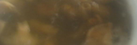 маринованные волнушки