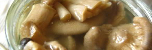 маринованные волнушки