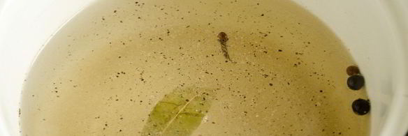 польские грибы маринованные