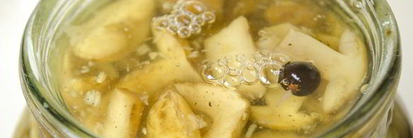 польские грибы маринованные