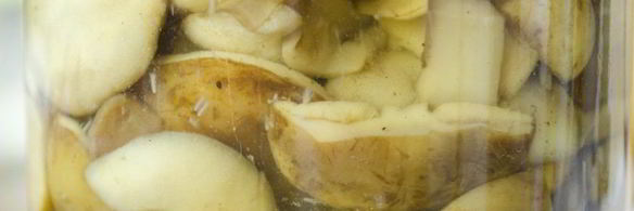 польские грибы маринованные