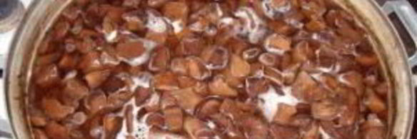 сморчки маринованные