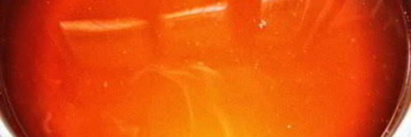 свекла маринованная в яблочном соке