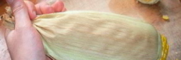 молодая кукуруза на зиму