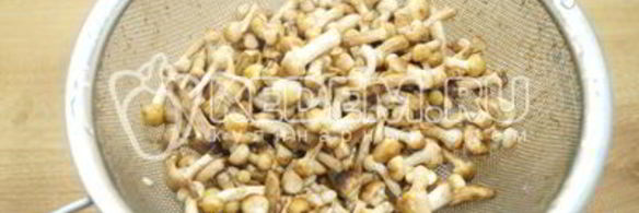 опята душистые