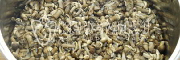 опята душистые