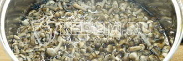 опята душистые