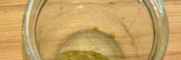 помидоры на зиму в желе