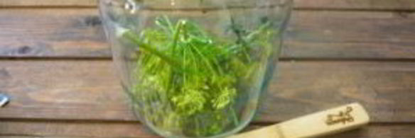 помидоры в банках на зиму