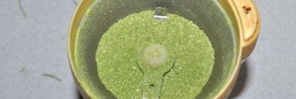 приправа из стеблей зелени