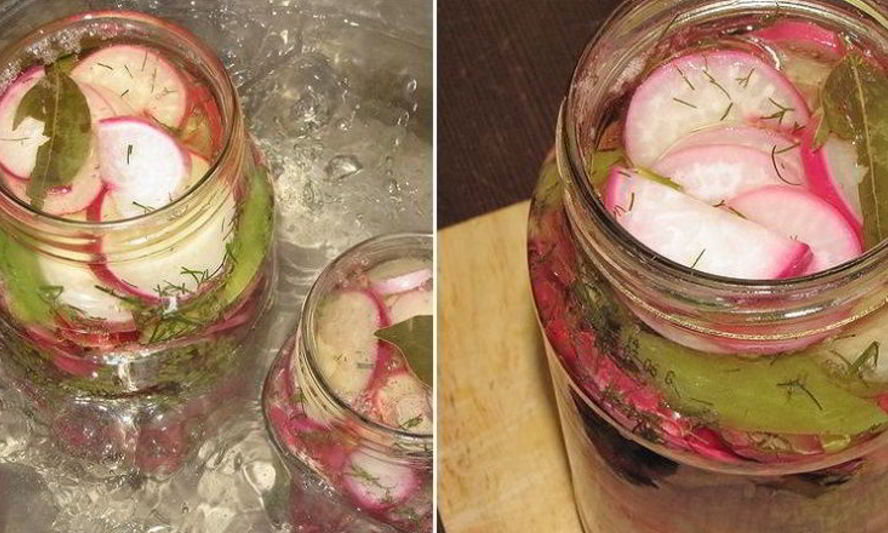 Рецепт редиса на зиму