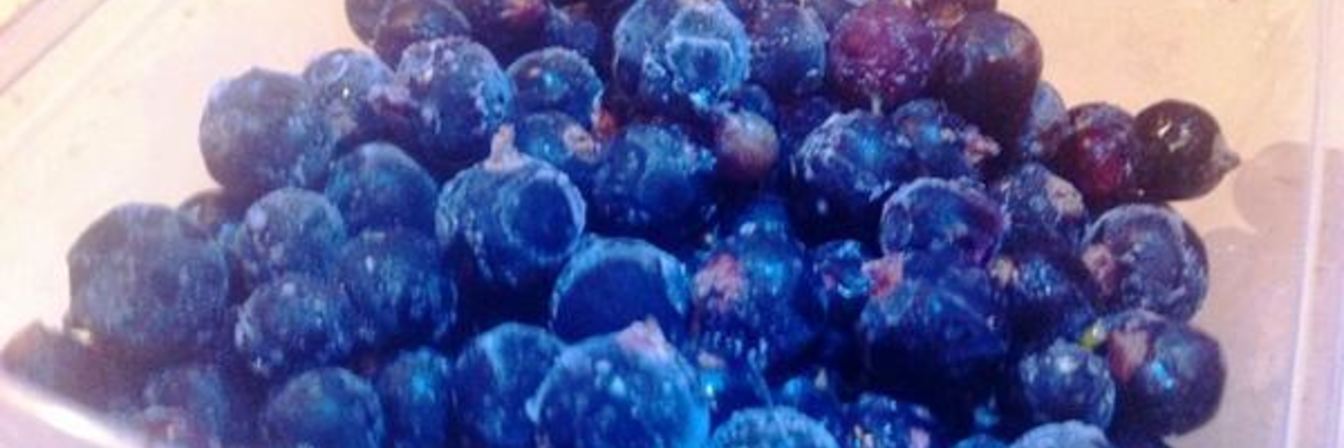 Смородина на зиму