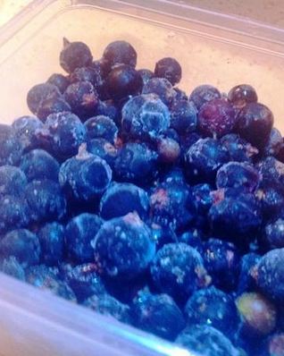 Смородина на зиму