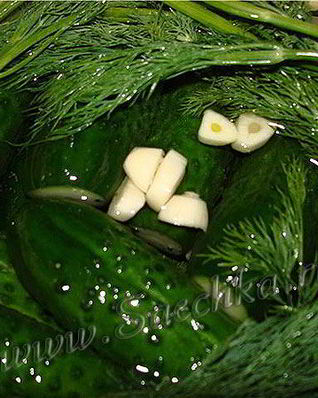 Малосольные огурчики