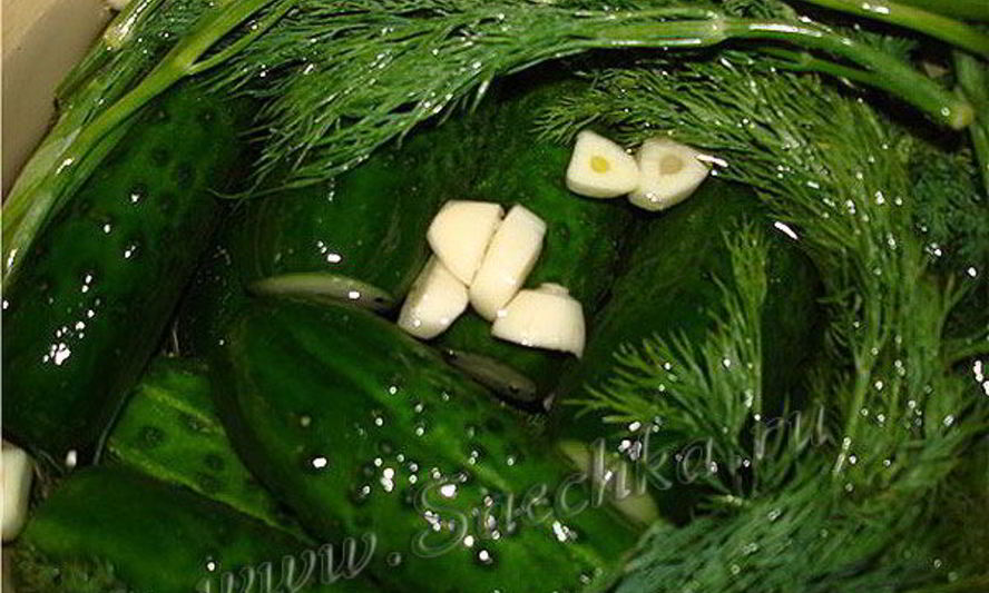 Рецепт малосольных огурчиков