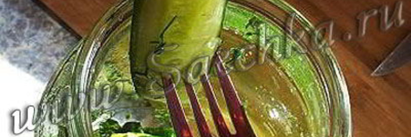 Малосольные огурцы