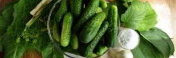 соленые огурцы на зиму в банках