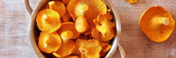 сушеные грибы