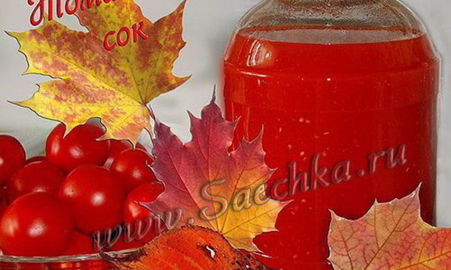 Рецепт томатного сока на зиму