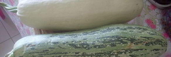 кабачковые цукаты с лимоном и апельсином