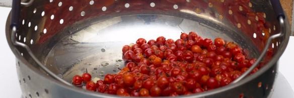 рябиновое варенье с яблоками на зиму