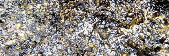 щавелевое варенье