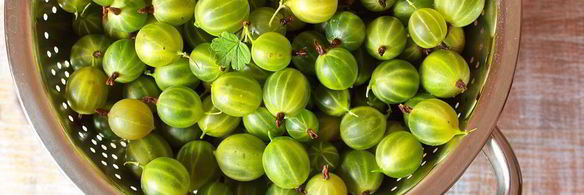 царское варенье из крыжовника