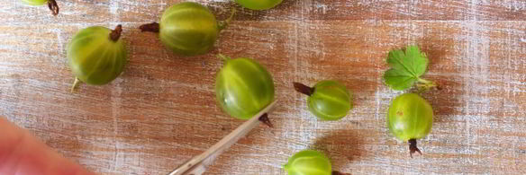 царское варенье из крыжовника