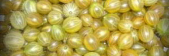 царское варенье