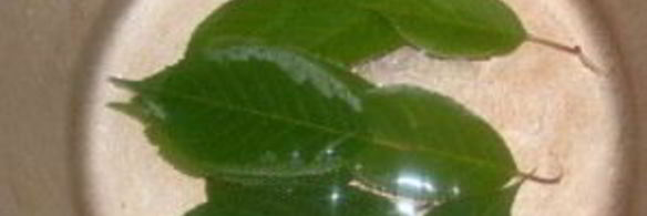 царское варенье